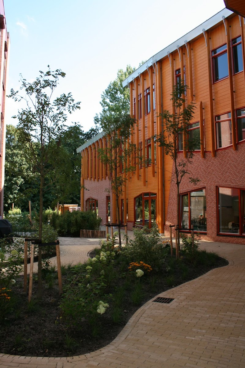 Amsterdam International Academy