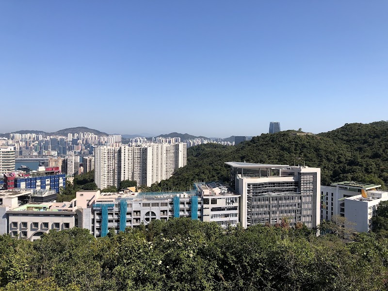 Chinese International School (CIS)