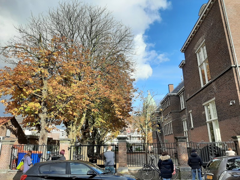 Haarlem International College