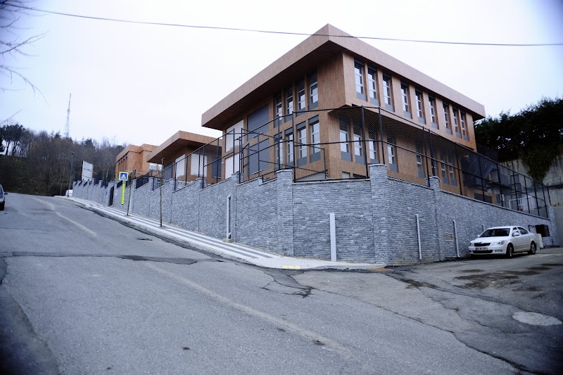 Istanbul International School