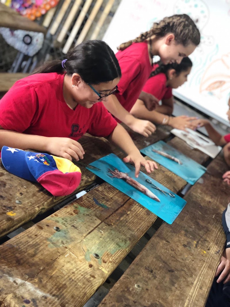 Pinecrest Preparatory Academy