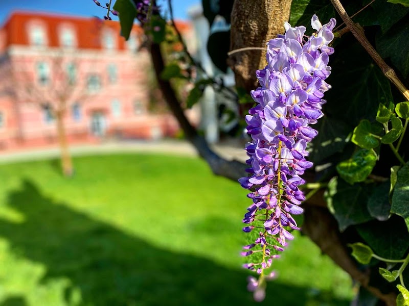Üsküdar American Academy